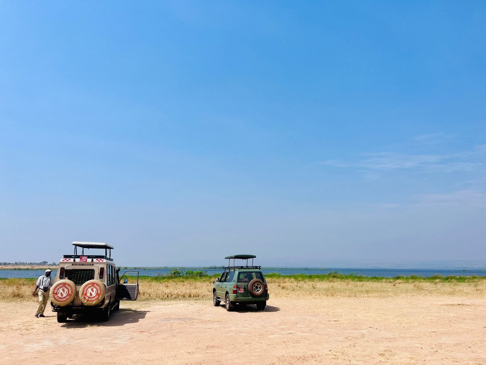 Car Hire Services