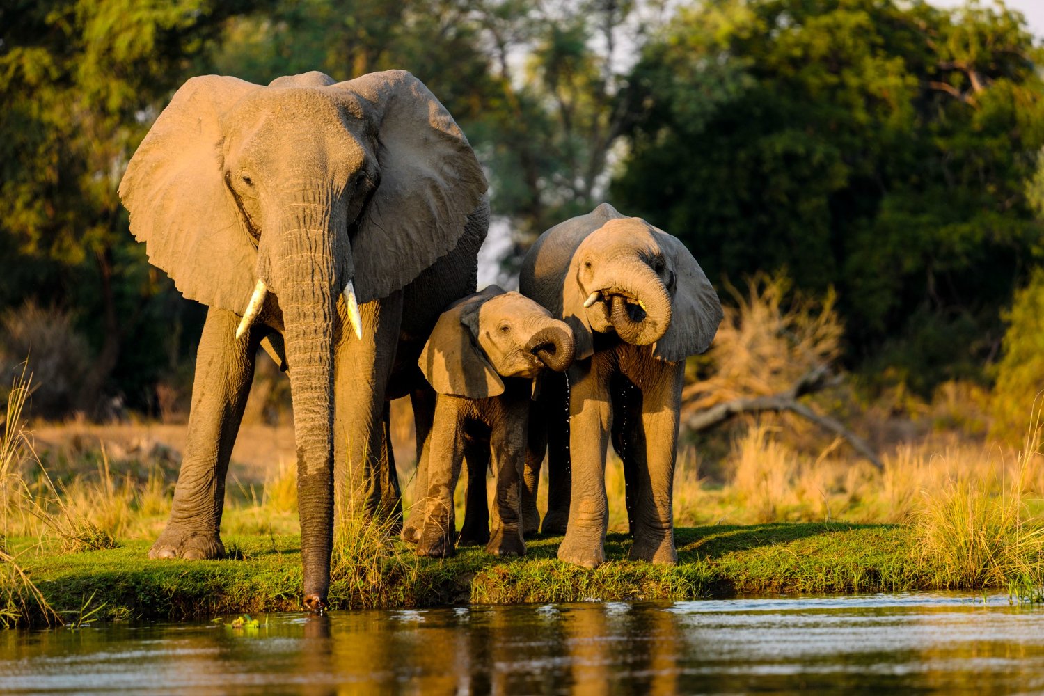 Queen Elizabeth National Park